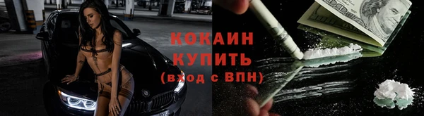 твердый Мегион
