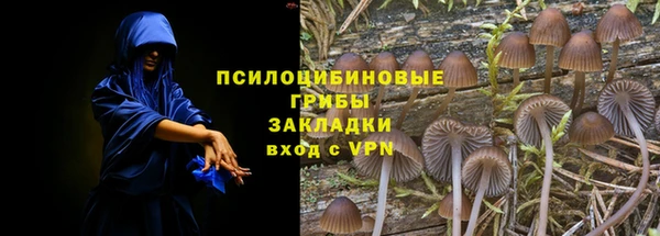 дмт Медвежьегорск