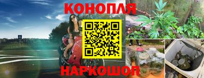 бошки Гусев