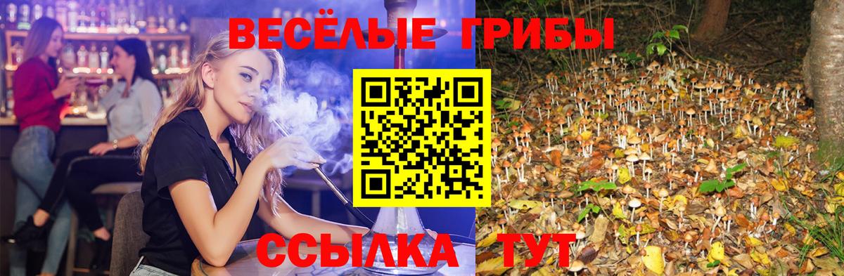 Екатеринбург  где купить наркоту  Вход с VPN  Псилоцибиновые грибы Cubensis  Галлюциногенные грибы мухоморы 