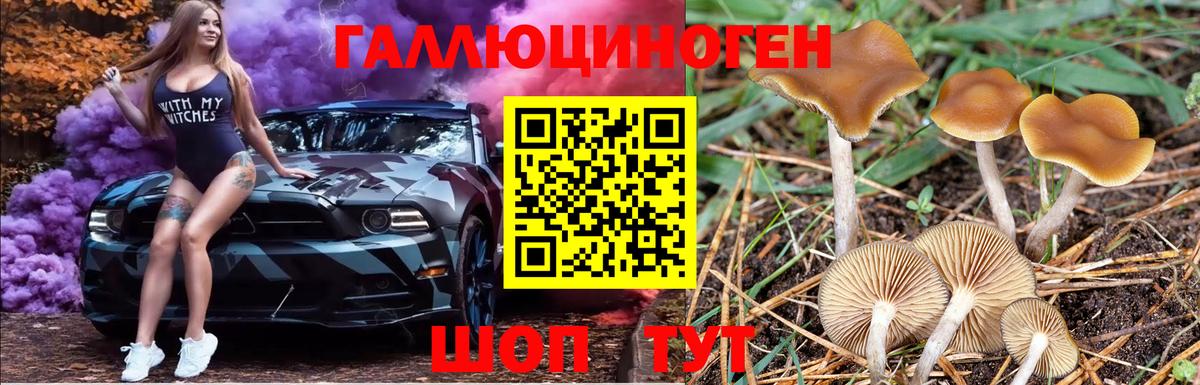 Галлюциногенные грибы ЛСД Екатеринбург