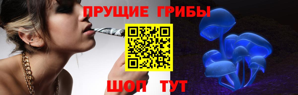 Псилоцибиновые грибы Magic Shrooms  Екатеринбург  Галлюциногенные грибы MAGIC MUSHROOMS 